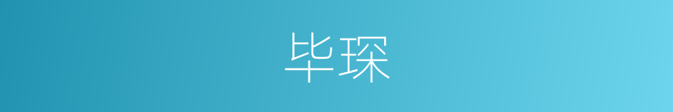 毕琛的同义词