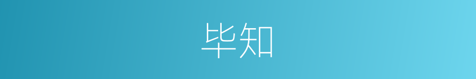 毕知的同义词