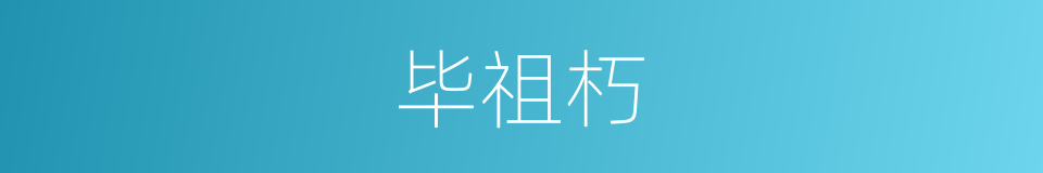 毕祖朽的同义词
