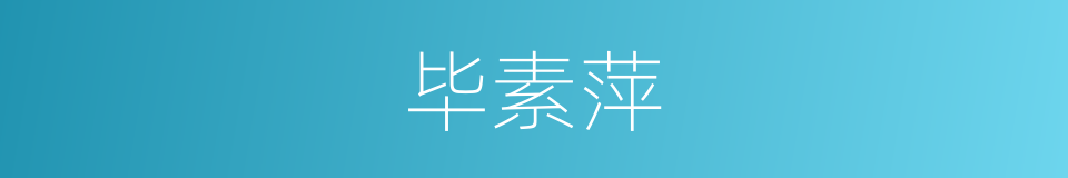 毕素萍的同义词