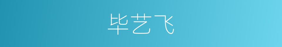 毕艺飞的同义词