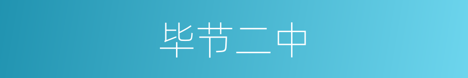 毕节二中的同义词