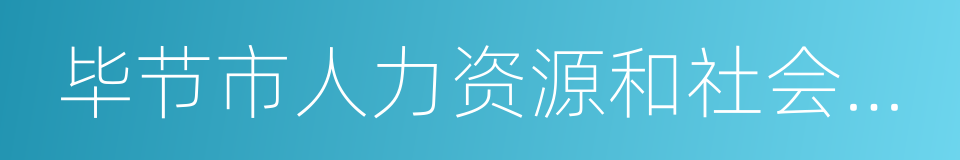 毕节市人力资源和社会保障局的同义词