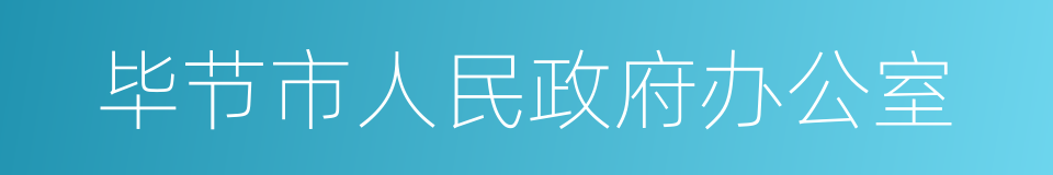 毕节市人民政府办公室的同义词