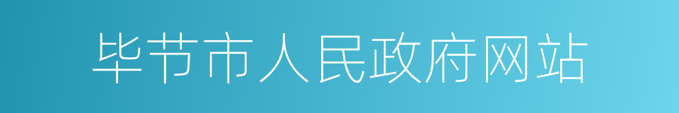 毕节市人民政府网站的同义词