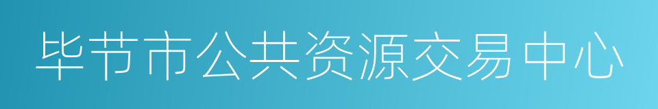 毕节市公共资源交易中心的同义词