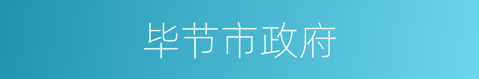 毕节市政府的同义词