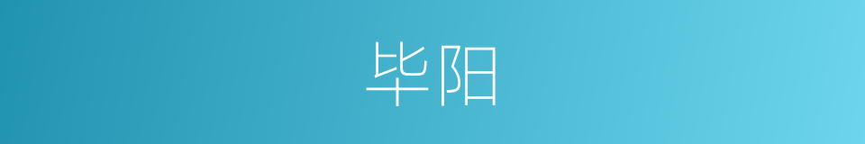 毕阳的同义词