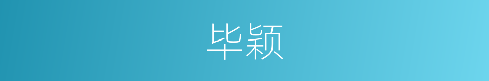 毕颖的同义词