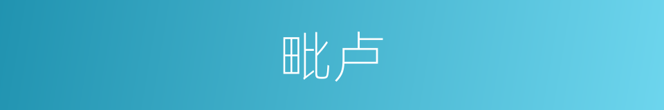 毗卢的意思