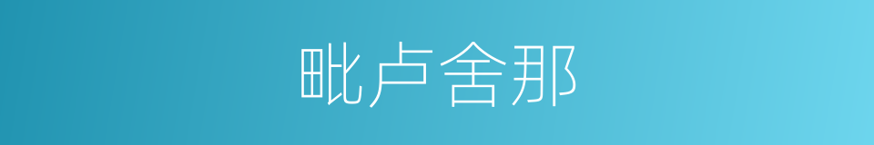 毗卢舍那的同义词