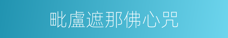 毗盧遮那佛心咒的同義詞