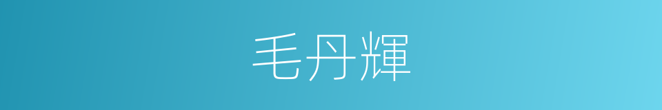 毛丹輝的同義詞