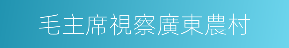 毛主席視察廣東農村的同義詞