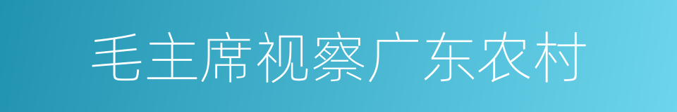 毛主席视察广东农村的同义词