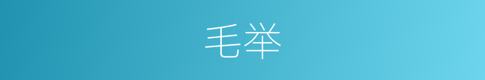 毛举的意思
