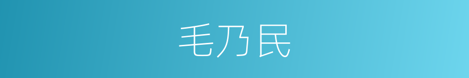 毛乃民的同义词