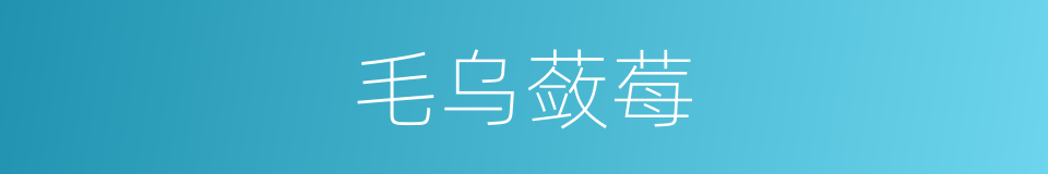 毛乌蔹莓的同义词