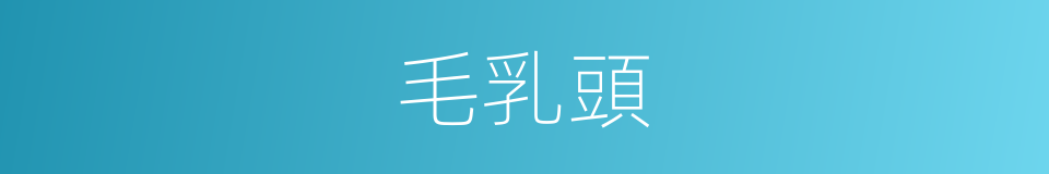 毛乳頭的同義詞
