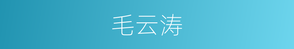 毛云涛的同义词