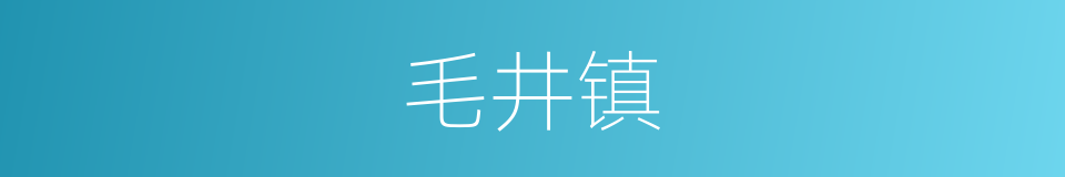 毛井镇的同义词