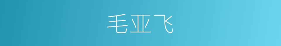 毛亚飞的同义词