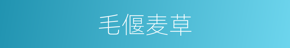 毛偃麦草的同义词