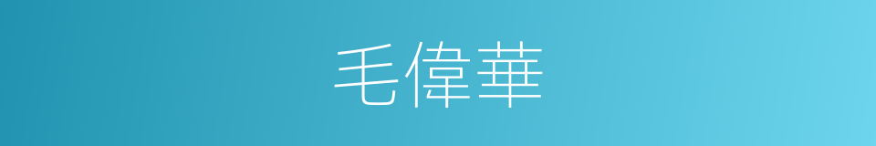 毛偉華的同義詞