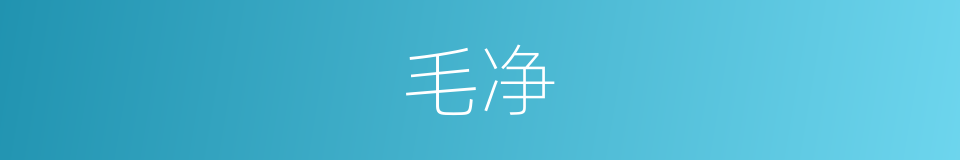 毛净的同义词