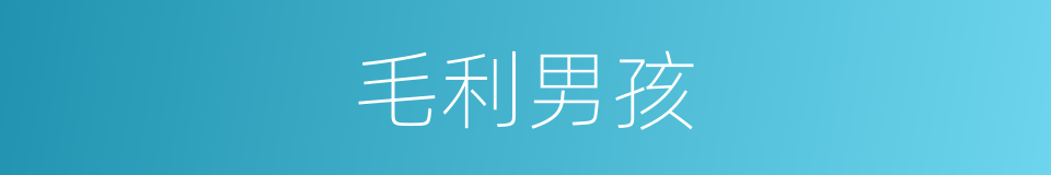 毛利男孩的同义词
