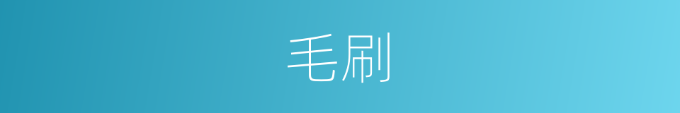 毛刷的意思