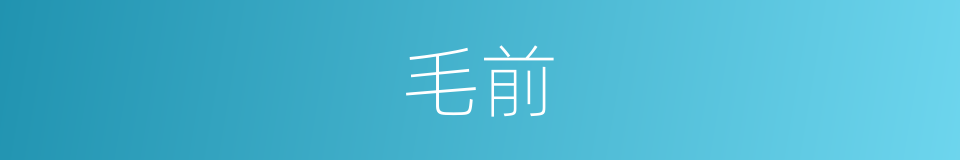 毛前的同义词
