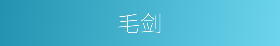 毛剑的同义词