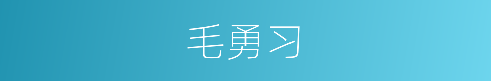 毛勇习的同义词