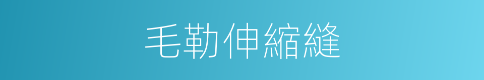 毛勒伸縮縫的同義詞