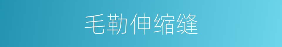 毛勒伸缩缝的同义词