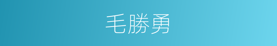 毛勝勇的同義詞