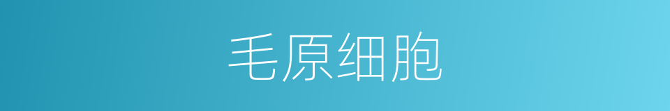 毛原细胞的同义词