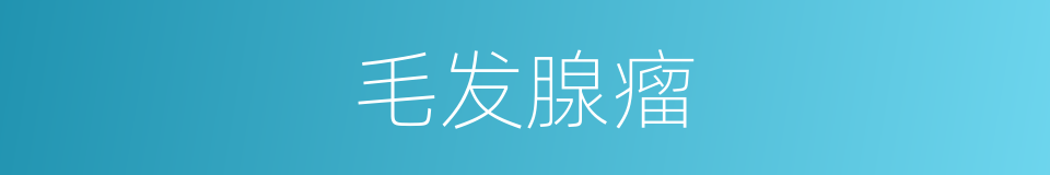 毛发腺瘤的同义词