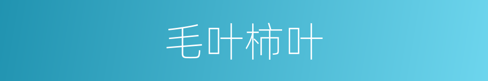 毛叶柿叶的同义词