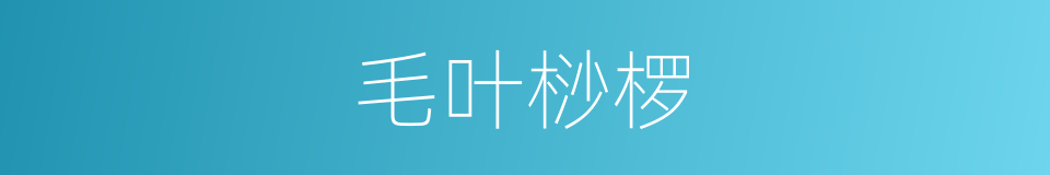 毛叶桫椤的同义词