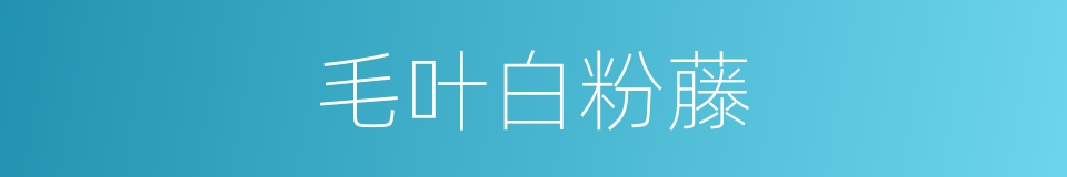 毛叶白粉藤的同义词