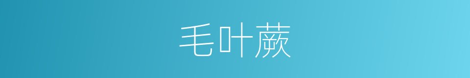 毛叶蕨的同义词
