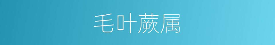 毛叶蕨属的同义词