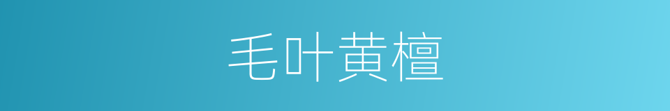 毛叶黄檀的同义词