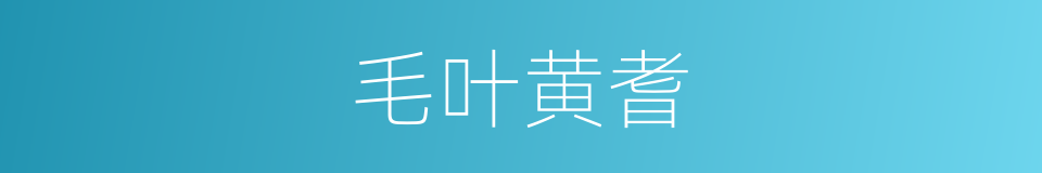 毛叶黄耆的同义词