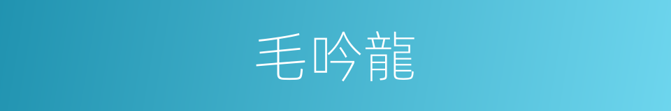 毛吟龍的同義詞