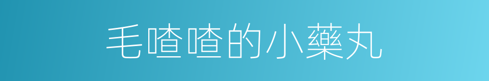 毛喳喳的小藥丸的同義詞