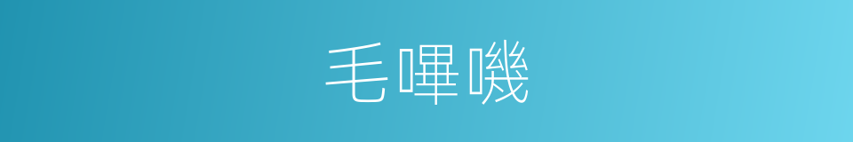 毛嗶嘰的同義詞