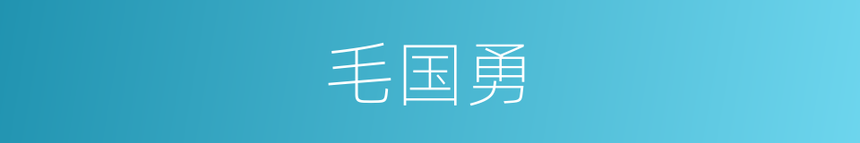 毛国勇的同义词